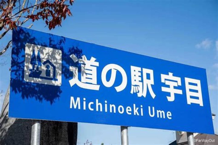 三笠 道 の 駅を旅の起点に：見どころ・アクセス・買い物ガイド